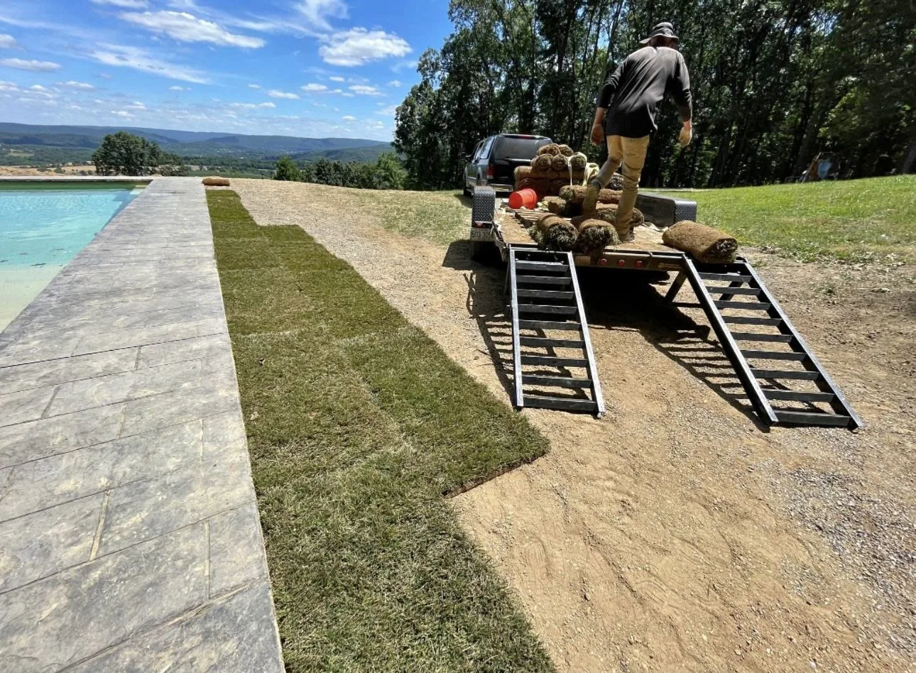 New sod installation with proper grading in DMV